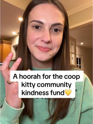 The most ambitious goal to date but no matter how much we raise and no matter what happens here, it’ll be spread  out throughout the year to help people and animals in need💛 #coopkitty #coopkittycommunity 