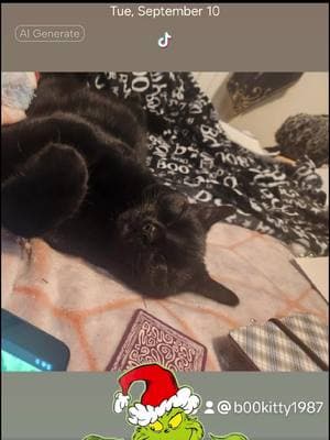 #aifilter #CapCut #b00kitty1987 #blackcatsoftiktok🐈‍⬛ #foryoupage 