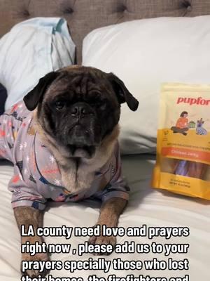 #wildfirepetsafetytips #petsafetytips #pupfordpups #staystrongsocal #losangeleswildfiresupport #prayforlosangeles @Pupford 