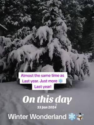 #onthisday Snow day Last year! #snow #snowday #snowintennessee #tnsnow #fyf 