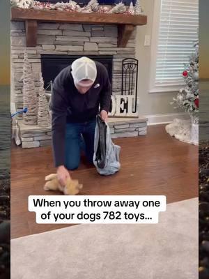 Teddy does not like to see toys go…#dog #pranks #dogsoftiktok #goldenretriever #puppy #funny #lovedogs #doghouse #foryou #fypシ