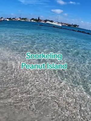 #peanutisland #floridabeaches #beaches #clearbluewater #snorkeling #fish #paradise  you can take the peanut island ferry to this tropical paradise 