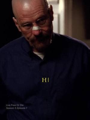 it's been 97 days in the dog house 🐶  #breakingbad #walterwhite #skylerwhite #bryancranston #doghouse