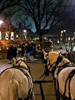 Holiday Lights Henry Ford.  #holiday #2024 #kacarli💙 #henryford #family #fun #streetview #wagonride #horses #horse #sing #serenade 