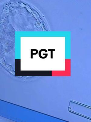 PGT is such a powerful tool to help us understand if embryos have a chance at life. It takes extreme precision and skill, and I'm so lucky to work with the best embryologist. #pgt #ivf #science #ttc #lab #embryo 