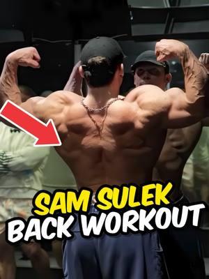 👑 NEW Sam Sulek Back Workout | Will you try this? 🤔 Shredathon Day 96 #samsulek #samsulekeffect #samsulekedit #samsulekmeme #backworkout #gymmotivation #GymTok #foryou