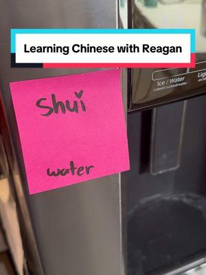 #rednote #chinese #mandarin #learning #doingmypart 