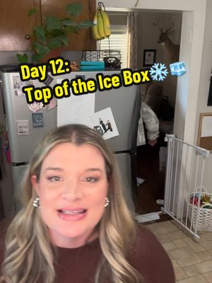 Day 12 Space-a-Day Cleanout: the Top of the Ice Box🧊❄️ #cajunmamas #CleanHome #OrganizedLiving #oldhouselove #minimalistliving #cleaning #CleanTok