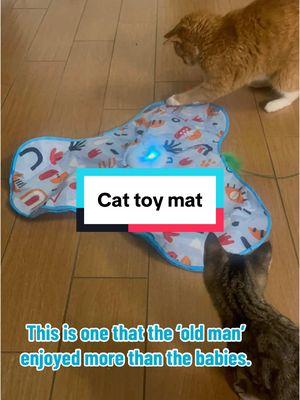 It took the kittens awhile but Spike was on it! #catsoftiktok #kittensoftiktok #kittentok #kittenlove #cattoys #catenrichmentideas #catenrichmenttoy #catparentsoftiktok 