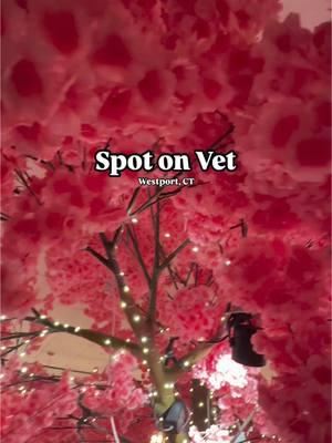 📍Spot on Vet- Westport Dog luxury just leveled up HOTEL OPTIONS: The Penthouse Suite The Grand Premier Suite The Park View Suite The Junior Suite DAILY SERVICES: •Additional activity options or a la carte services available •Your choice of a half day of doggy daycare or a private playdate • An additional three outings •Continuous fresh water, breakfast and dinner •Maid and linen service They have an unreal menu of a la carte upgrade options. I know we'll be adding the In-suite personal camera to all our visits (because who doesn't love watching their dogs every second they can't be with them 😅) #veterinary #boarding #petboarding #dogboarding #dog #dogs #westport #luxury #dogbed #tuckin #camera #checkin #grooming #spa #pamper #pamperyourpet #spoton #alacarte