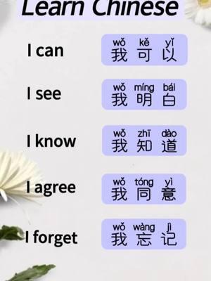 Let’s learn Chinese together #mandarina #chinese #learnchinese #learninglanguage 