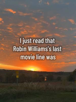 and it made me happy and sad at the same time.  From the movie #boulevard #robbinwilliams #robinwilliams #sunset #fypdogsoftiktok #wisconsincheck #theresamarsh #theresa #theresamarsh #walkingthedog #timelapse #timelapseart #timelapseart 