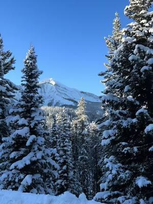 Blue bird day at Big Sky 🏂 #bigsky #bigskymontana #montana #winter #snowboarding #skithewest #snowboardtiktok #bigskybeauty #bigskyresort #bluebirdday 