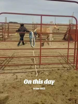 @Niylah_Rae004 #onthisday #RockinAB #Redstoneranch #nativeamerican #cowgirl #nativerancher #nativetictok #foryourpage #fyp 