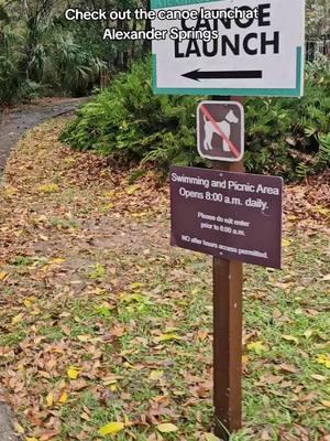 Nice day to launch, dontcha think? 🤔👀😬😂 . . . . . . . . . #alexandersprings  #paddleboarding #sup #paradise #springs #gulf #naples #floridasprings #gulfcoast #Outdoors #nature #wildlife #floridaexplored #florida #thesunshinestate #Fitness #getoutside #lovefl #ocala #floridawildlife #alligator #animalencounters 