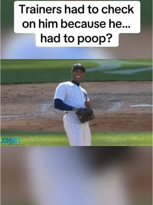 Investigative journalism  #MLB #baseball #yankees #nyy #blooper #nature #aroldischapman #aaronboone #funny #fyp