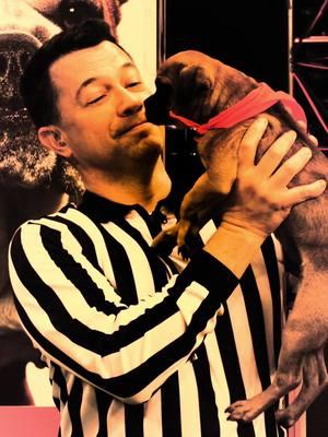 Chillllllll Dan the Ref my girl is on this app 🫣 #fatherfigure #puppybowl @Dan Schachner 