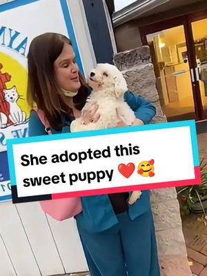 Dogs Adopting Priceless Moments ❤️ #dog #dogsoftiktok #doglover #dogmom #dogtok #doggo #puppy #puppytiktok #shelter #shelterdog #adopted #adoption #emotional #hearttouching #wholesome #heartwarming #heartmelting #fyp #foryoupage #fyp 