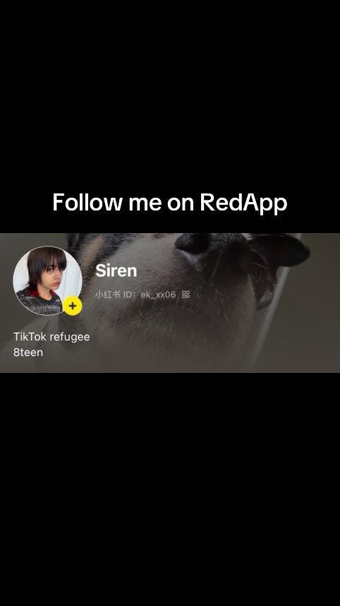 #redapp #redbook #Xiaohongshu #tiktokban #plumseokjin 