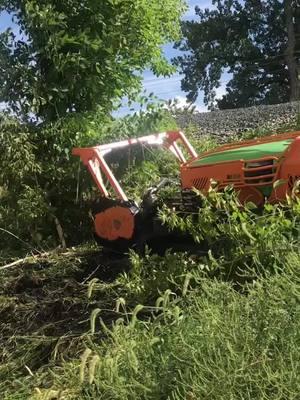 Boom. Cleared. #greenclimber #flailmower #forestry #geterdone #treeremoval #treework #brushcutting #equipment 