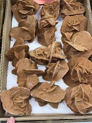 Stunning desert rose formations from selenite and gypsum in the Sahara desert - available at Casablanca exports #desertrose #gypsum #selenite #crystalshop #smallbusinesscheck #crystaltok 