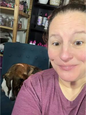 🐾❤️Coworker is distracting me with cuteness!  🔥Live tonight 5 pm cst🔥 #Barton #dog #cute  #coworker  #EnvyShops #TheEnvyLoft #DogMom #SassyWife #BossBabe #SmallBusiness 