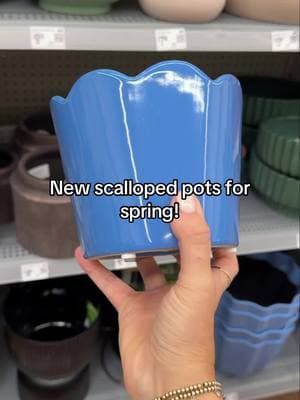 New scalloped pots for Spring! The price points are too good. I have all of these lnkd in my LTK! #spring #springdecor #springplanting #indoorplants #plantsoftiktok #planters #walmartfinds #walmarthaul 