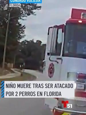 Un niño de 8 años murió tras ser atacado por dos perros en su vecindario en el condado Volusia, en Florida, cuando intentaba acariciarlos. La directora de Control de Animales confirmó que uno de los perros era un pit bull y el otro de raza mixta, el cual mostraba extrema agresividad. #florida #pitbull #volusia