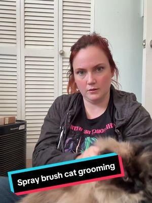 #petgrooming #catgrooming #doggrooming #steambrush #heatbrush #catsoftiktok #longhairedcat #himalayancat #catmom #productsthatwork #productreview 