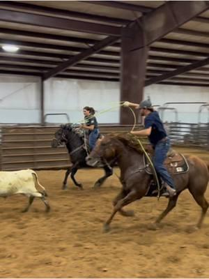 😂 definitely a true ranch horse, she only bucks when she’s in a arena 😂 #fyp #foryoupage #rodeotok #morecowboythanyou #ranchin 