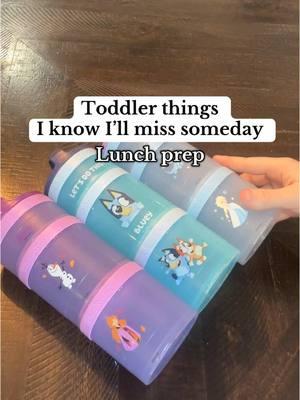 Just a little toddler lunch inspo🤍  #toddler #toddlerlunch #toddlermealideas #whatmytoddlereats #whatmykidseat #lunchonthego #toddlermom #twinmom #momofmultiples #momofthree #lunchmealprep #preschoollunch #momtok #fyp #morningroutinewithkids #lunchboxideasforkids #snackideas #toddlersnackideas 