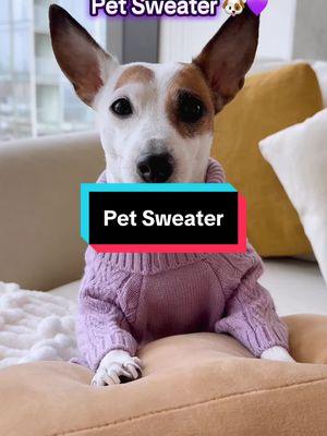 Pet Sweater💜 #petclothes #dogclothes #PetsOfTikTok #dogsoftiktok #TikTokShop #tiktokmademebuyit #tiktokviral 