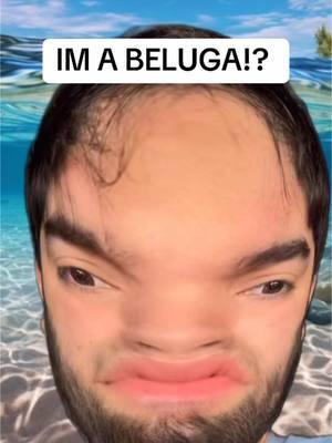 IM A BELUGA!?  #ashtrevino#ashtrevinodaughters#ashtrevinodrama#influencer#fyp#shocking#explore#xyz#panchodoesitbetter#chisme#hispanic#viral#trending#drama#latino#pancho#mexico#dramatiktok#fyp