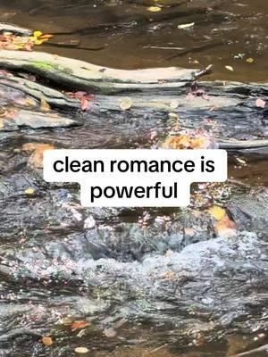 🌹✨ Clean romance is powerful. ✨🌹 Love isn’t defined by steam; it’s defined by heart. Clean romance is rich, moving, and unforgettable—because sometimes, it’s the smallest moments that make the biggest impact. 💖 #CleanRomance #PowerOfLove #HeartfeltStories #SwoonWorthy #FeelGoodFiction #RomanceReaders #LoveWithoutLimits