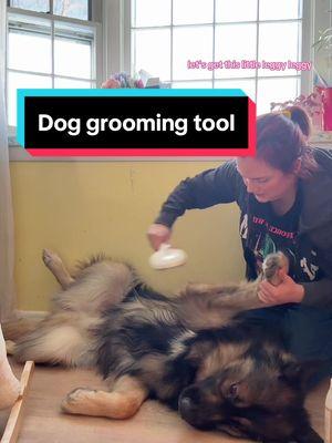 #petgrooming #catgrooming #doggrooming #steambrush #productsthatwork #productreview #shilohshepherd #shilohshepherdsoftiktok #shepherddog #germanshepherd #undercoat #shedding 