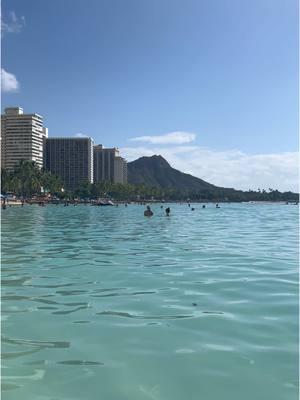 this is the after school activity when you decide to go to school in Hawaii versus a big party/sorority school 🌎🌊🐠🐬🌈🌺 #hawaii #hawaiipacificuniversity #hpu #oceandip #oceanlife #ocean 