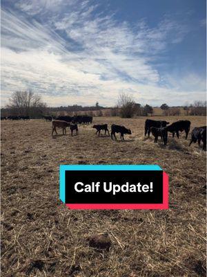 A good update from the farm!  #familyfarm #farmjobs #cattlewoman #cattlemax #makingourfarmmobile #farmingmama #farmingfamily #livestock #beef 