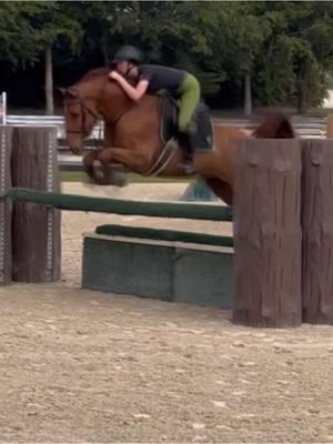 big hops with the red head  #rideforchrome #equestriansoftiktok #hunterhorse #jrhunter 