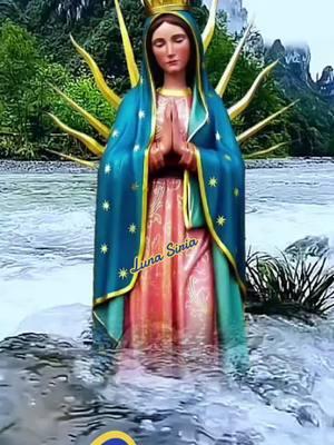 Amen🧡 #santamadre #guadalupe #guadalupana #maria #virgendeguadalupe #madremia #cristoteama #cristovive #cristoviene #salvame #lunesdetiktok #iniciodesemana #amen #fe #oracionespoderosas #oracionescristianas #oracionesdiarias #catolicostiktok #catolicos_por_amor #cristianosentiktok #mexicotiktok 