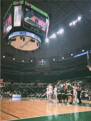 nights @ the yc 💚🤘🏼 #tampa #usf #southflorida #gobulls #basketball #womensbasketball #college #collegebasketball #hornsup 