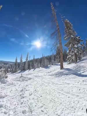 —who’s up for a chill ride?  #MonoskiLife #AdaptiveSkiing #SkiAdventure #SnowCruising #WinterSports #SkiingFun #MountainVibes #ShredTheSlopes #SkiLife #radadventures #insta360x4 #insta360 @insta360_official  🎥