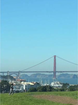 When you have work to do but you need a nap.  #sanfrancisco #sfbayarea #sf #goldengate 