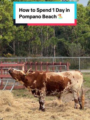 copy my Saturday plans: how to spend 1 day in Pompano Beach 🏖️  #pompanobeach #pompanobeachfl #thingstodoinpompanobeach #oceanic #tradewindspark #greenmarket #creatorsearchinsights 