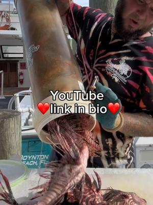 The past year has been terrific thanks to you! We appreciate your time watching our invasive Lionfish videos! And I hope to bring you more in the future if you will jump on over to YouTube and watch instead! What time does it start tonight?🙌🙌🙌🙌##lionfish##lionfishextermination##lionfishhunting##cleaninglionfish##natethelionslayer##showusyourzk##nonprofit##lionfishexterminationcorp##invasivespeciesremoval##filletinglionfish##lionfishguy##discoverychannel##spearfishingdinnerisnotanimalabuse##venomousfish##nonprofitorganization