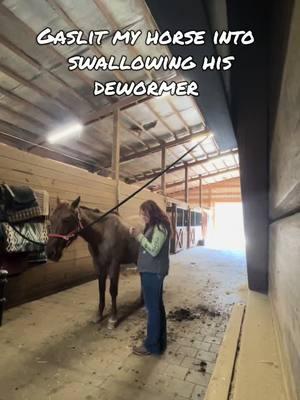 THE WAY HE FROZE LIKE 👀🤚🏼 #redroan #gelding #horse #horsesoftiktok #deworming 