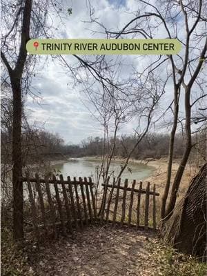 Outdoor🚶‍♂️hidden gem in Dallas 🌳! The @Trinity River Audubon Center is an otherworldly experience with 11 easy trails, perfect for walking for all age groups totaling 2.32 miles. ​Spot otters, soak in the beauty of native plants and indulge in some peaceful bird watching: https://bit.ly/3BV40hu 🌿 They are open Tues. - Sun., 9 a.m. - 4 p.m. with early entry on Saturdays at 8 a.m. | 📍6500 S Great Trinity Forest Way, 🌲 Dogs and bicycles are not allowed on the Audubon Center trails, but the Trinity Forest Trails nearby do.  Looking for more places to explore? Listed below are some more must-visit locations: 📍Cedar Ridge Preserve | 7171 Mountain Creek Pkwy (We suggest getting there early) 📍The Santa Fe Trail and White Rock Lake Trail | 1837 E. 8th St. 📍Trinity Skyline Trail | 3700 Sylvan Ave 📍Katy Trail | 3505 Maple Ave 📍White Rock Lake Loop Trails  📍Flag Pole Hill at White Rock Lake | 8015 Doran Cir. #thingstodoindallas #dallas #visitdallas #dallastexas #Outdoors #hikingtrail #trails #conservation 