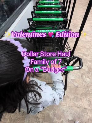 #dollarstore #dollarstorefinds #dollarstorehaul #valentinesdaydecor #dollartree #sahm #MomsofTikTok #onabudget #familyof7 #relateable #momcontent #fyp #foryou #fypシ #fypシ゚viral  