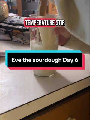 I am so excited to bake with her #sourdough ##sourdoughstarter##sourdoughbread##sourdoughtok##evesourdoughstarter 