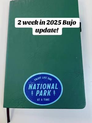 2 Week Update! #fyp #foryou #bulletjournaling #bulletjournallife #BulletJournal #bujo #2025 #2025bulletjournal #hikingtheme #bujotour #bujoinspiration #bujoideas 