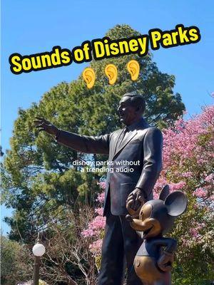 These sounds >>> #Disney #DisneyParks #TrendingAudio #VideoDiary #NoAudio 